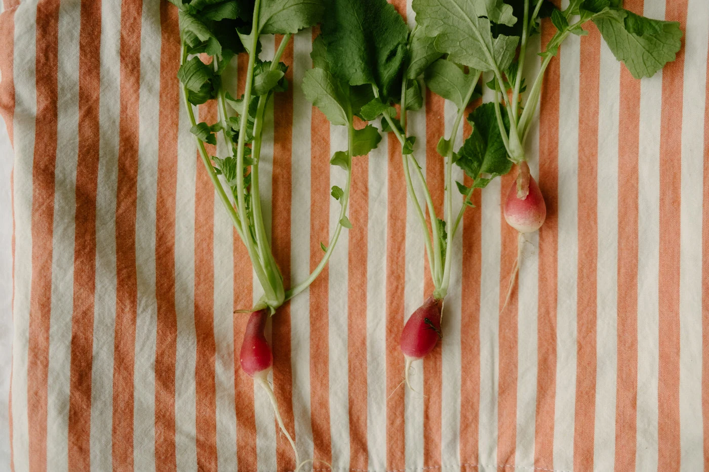 Homegrown Radish Reversible Vest